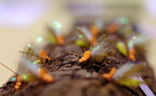 Flies, Films, and Tornados